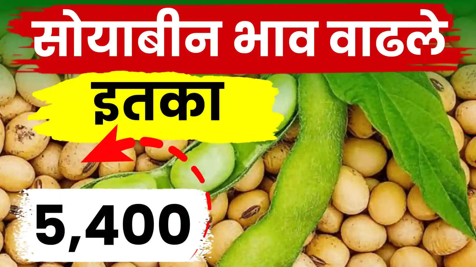 सोयाबीन बाजारात 'बिजवाई'ची चर्चा